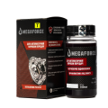 Присадка для восстановления АКПП, CVT, DSG и редукторов электромобилей MEGAFORCE AT Restore T, 100 мл